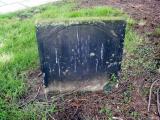 image of grave number 254056